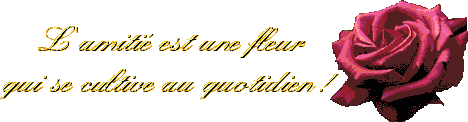 Fleur de l'amitié