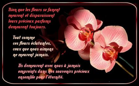 Pour mes amis (es) 