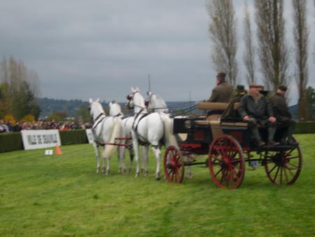 concour de chevaux attelés