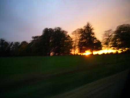 couché de soleil entre les arbres